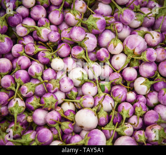 Aubergine lila Hintergrund in der gemüsemarkt/Thai Auberginen Asien Stockfoto