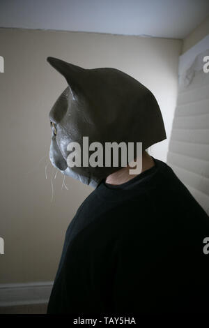 Mann mit einer Maske einer Katze in einem Bett Zimmer vor einer Matratze lehnte sich gegen ein Fenster Stockfoto