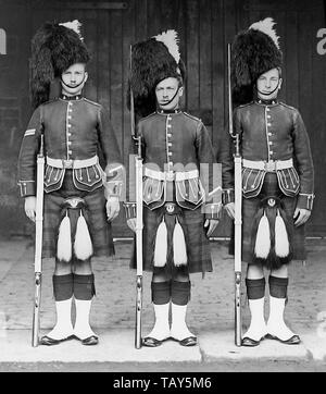 Queens eigenen Cameron Highlanders, Britische Armee Stockfoto