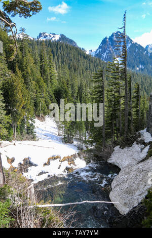 Narada Falls, Mount Rainier Nationalpark Stockfoto