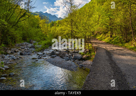 Wunderbare Aussicht auf die vertova Torrent bei Sonnenuntergang, in der Mitte des Orobiche Berge mit seinen wunderschönen kleinen Wasserfällen. Stockfoto