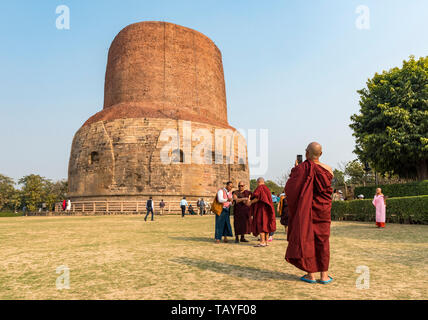 Buddhistische Mönche mit Fotografien vor Dhamek Stupa, Sarnath, Varanasi, Indien Stockfoto