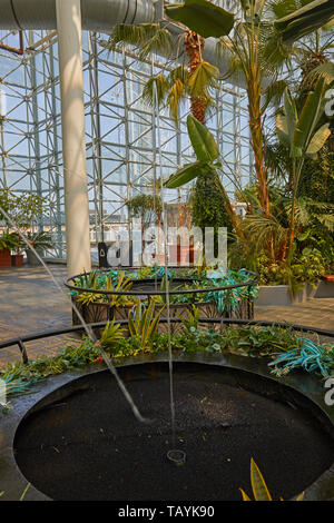 Die Crystal Gärten am Navy Pier, Chicago, Illinois, United States Stockfoto