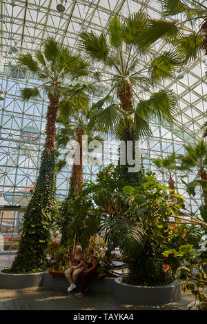 Die Crystal Gärten am Navy Pier, Chicago, Illinois, United States Stockfoto