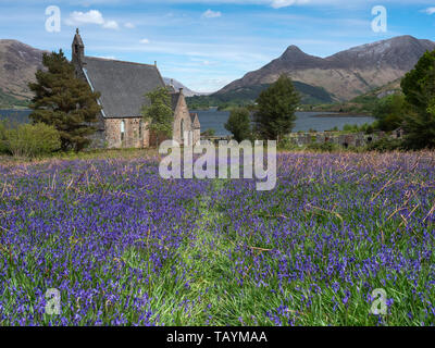 Bluebell Felder am St John es Episcopal Church, Ballachulish in den schottischen Highlands Stockfoto