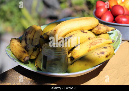 Mehrere leckere, gesunde und farbenfrohe Früchte auf Madeira während ein sonniger Frühlingstag fotografiert. Das Foto enthält lokale Früchte von Madeira. Stockfoto