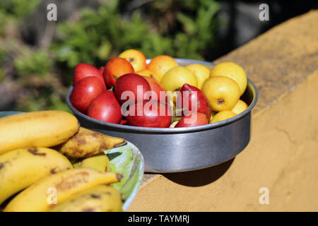 Mehrere leckere, gesunde und farbenfrohe Früchte auf Madeira während ein sonniger Frühlingstag fotografiert. Das Foto enthält lokale Früchte von Madeira. Stockfoto