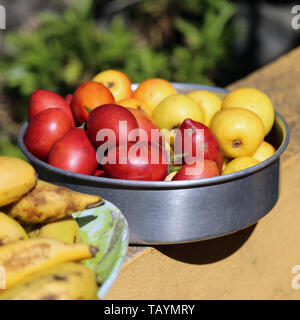 Mehrere leckere, gesunde und farbenfrohe Früchte auf Madeira während ein sonniger Frühlingstag fotografiert. Das Foto enthält lokale Früchte von Madeira. Stockfoto