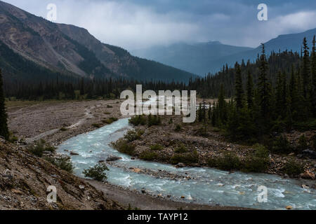 Der dramatische Bogen Fluss, der durch den Bow Valley, Icefield Parkway, Kanada, das milchige Wasser gefärbt durch die run off vom Bug fällt Gletscher, n Stockfoto