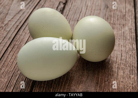 Grün gefärbten Eier araucana Stockfoto