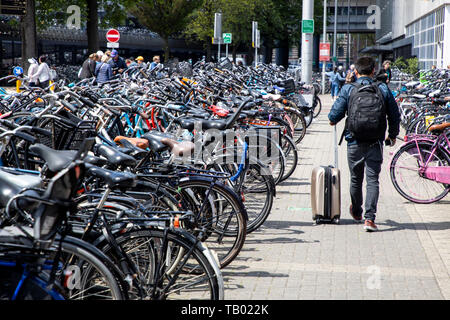 Amsterdam, Niederlande, Fahrradverleih, Parkplatz in der Nähe des Hauptbahnhof, kostenlos, Stockfoto