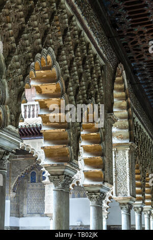 Bögen, Reales Alcazares, Sevilla, Spanien Stockfoto