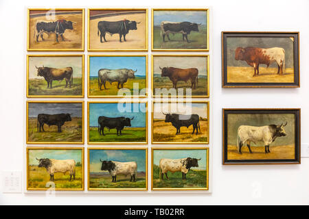Porträts von Stieren, Museo Taurino (Stierkampf Museum), Plaza de Toros (stierkampfarena), Sevilla, Spanien Stockfoto