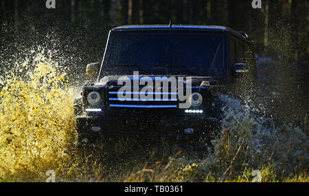 Car Racing im Herbst Wald. Extreme, Herausforderung und Fahrzeug 4x4-Konzept. SUV oder offroad Auto auf Pfad mit Gras Kreuzung Pfütze mit Wasser bedeckt Stockfoto