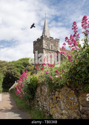 Eine geringe Aussicht auf Rot und Rosa Baldrian wild wachsenden über eine alte mittelalterliche Kirche Seely Memorial Kapelle Friedhof Steinmauer Mottistone Stockfoto