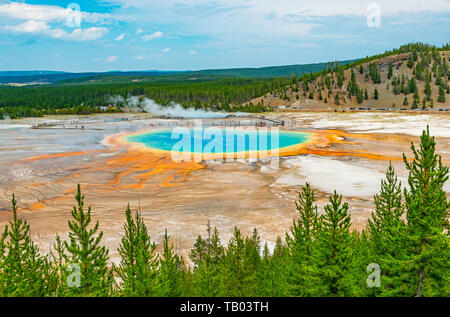 Landschaft der Grand Prismatic Spring durch einen Pinienwald und ferne Silhouetten von Touristen zu Fuß auf den erhöhten Laufsteg, Wyoming, USA. Stockfoto