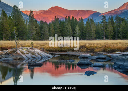 Reflexionen in der tuolumne River, Yosemite National Park, Kalifornien, USA, von Bill Lea/Dembinsky Foto Assoc Stockfoto