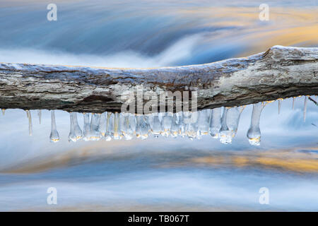 Eiszapfen an über Stream anmelden, Little River, Great Smoky Mountains, TN, USA, von Bill Lea/Dembinsky Foto Assoc Stockfoto