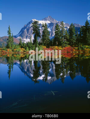 USA, Washington, Mt. Shuksan, in North Cascades National Park, spiegelt in Highwood See, von Falllaub begrenzt wird. Stockfoto