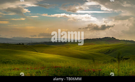 Sanfte Hügel in der Toskana an einem sonnigen Tag mit dramatischen Wolken Stockfoto