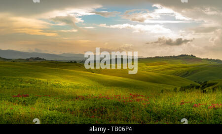 Sanfte Hügel in der Toskana an einem sonnigen Tag mit dramatischen Wolken Stockfoto