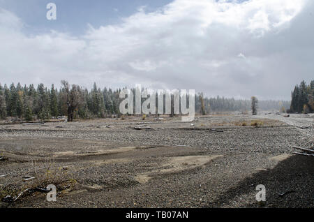 Trockenes Flussbett von Pilgrim Creek im Teton National Park im US-Bundesstaat Wyoming Stockfoto