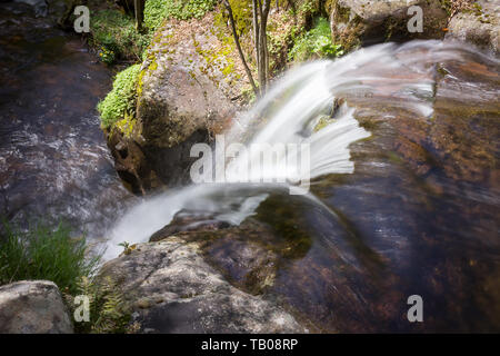 Blick von oben der netten Wald Wasserfall die Kaskadierung der Rot, sonnenbeschienenen Felsen von golden Moss im Frühjahr gedeckt Stockfoto