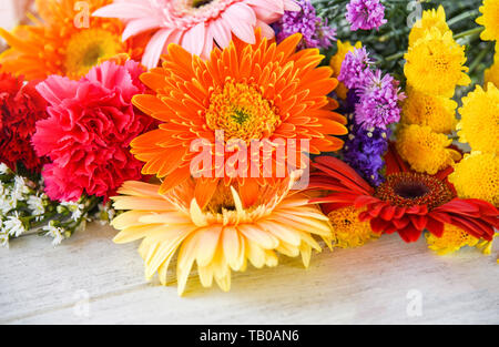 Frischer Frühling Blumen Strauß Anlage gerbera Chrysanthemen bunter Blumen und grüne Blätter auf weißem Hintergrund Stockfoto