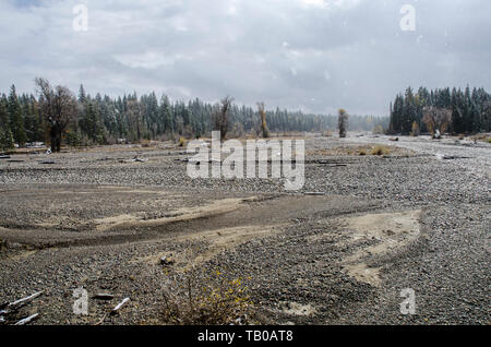 Trockenes Flussbett von Pilgrim Creek im Teton National Park im US-Bundesstaat Wyoming Stockfoto