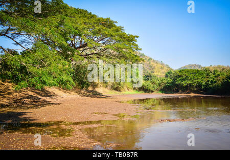 Getrocknete Teich Schlamm während der langen Sommer Wasser trockenen Jahreszeit mit großen alten Baum von Tageslicht Stockfoto