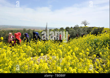 Eine Gruppe von jungen muslimischen Frauen besuchen Gobekli Tepe, Sanliurfa, Türkei Stockfoto