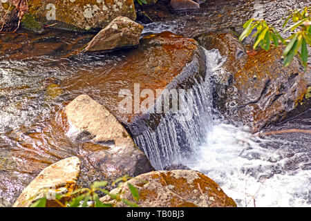 Kleine Kaskade in einem Gebirgsbach in der Great Smokey Mountains in Tennessee Stockfoto