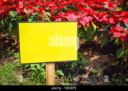 Kunststoff gelb Namensschild leer Leer auf Garten mit roter Blume Hintergrund Stockfoto