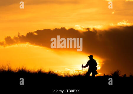 Wanderer sunrise, Bruneau Dunes State Park, Snake River Greifvögel National Conservation Area, Idaho Stockfoto