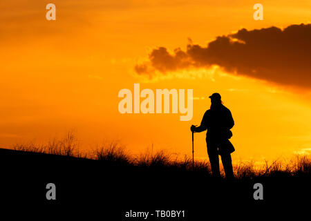 Wanderer sunrise, Bruneau Dunes State Park, Snake River Greifvögel National Conservation Area, Idaho Stockfoto