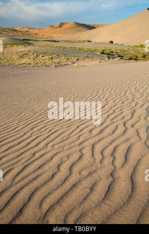 Dune Wellen, Bruneau Dunes State Park, Snake River Greifvögel National Conservation Area, Idaho Stockfoto