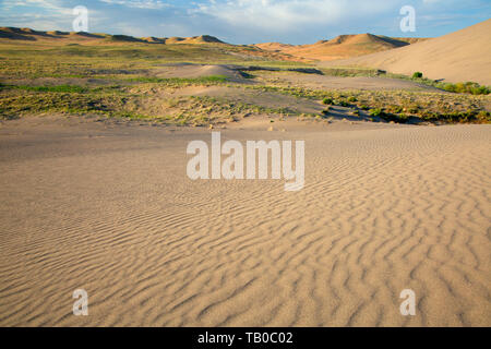 Dune Wellen, Bruneau Dunes State Park, Snake River Greifvögel National Conservation Area, Idaho Stockfoto