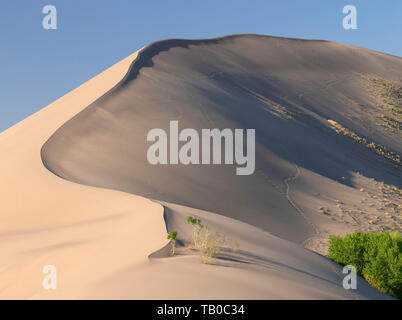 Dune, Bruneau Dunes State Park, Snake River Greifvögel National Conservation Area, Idaho Stockfoto