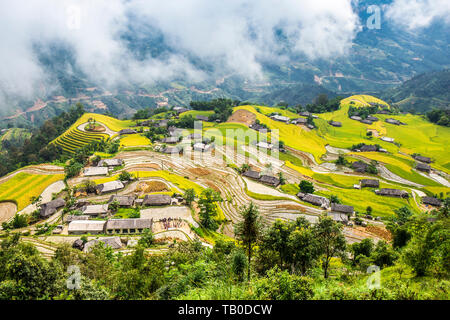 Eine schöne Aussicht auf reisterrassen Reifen im Norden von Vietnam. Stockfoto