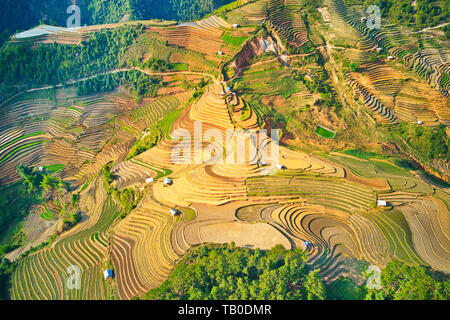 Luftaufnahme von Reis terrassierten Feldern in Me Cang Chai, Vietnam bei Bewässerung Saison. Stockfoto