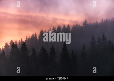 Atemberaubende Bild von den nebligen See Shiroka poliana in Rhodopen Gebirge, Bulgarien, Europa. Dramatischer Sonnenaufgang Szene. Stockfoto