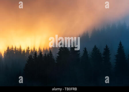 Atemberaubende Bild von den nebligen See Shiroka poliana in Rhodopen Gebirge, Bulgarien, Europa. Dramatischer Sonnenaufgang Szene. Stockfoto