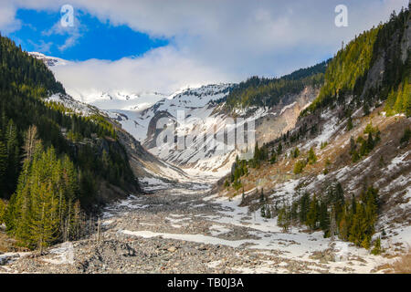 Nisqually River, Mount Rainier National Park Stockfoto