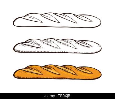 Satz von Hand gezeichnet Vektor. Weißes Brot. Baguette. Farbe vintage Gravur Illustration für Poster, Aufkleber und Menü Bäckerei. Stock Vektor