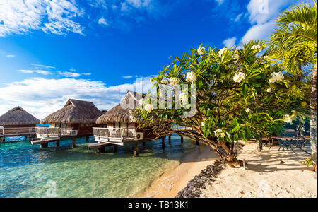 Blick auf den Bungalow am Strand, Bora Bora, Französisch-Polynesien Stockfoto