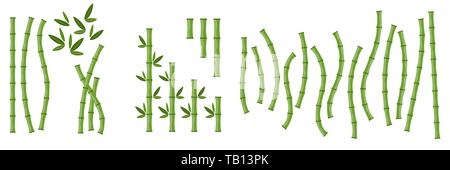 Große grüner Bambus Zweige und Blätter. Vector Illustration. Bambus stammt. Bambus-Symbol. Stock Vektor