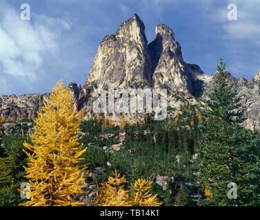 USA, Washington, Okanogan-Wenatchee National Forest, Alpine lärche Anzeige Herbst Farbe unter frühen Winter Türme; in der Nähe von Washington. Stockfoto