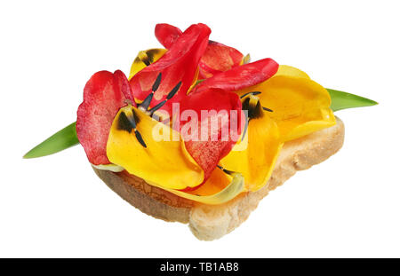 Gebratene Toastbrot Burger mit Blüten von Frühling Tulpen - exotische Lebensmittel Konzept. Auf weissem studio Makroaufnahme isoliert Stockfoto