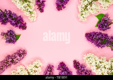 Runden Rahmen von lila Blumen, Zweige und Blätter und Blüten mit Platz für Text auf rosa Hintergrund. Flach, Ansicht von oben. Platz kopieren Stockfoto