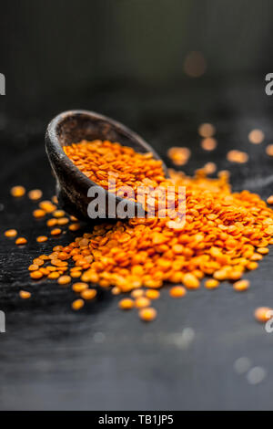 Nahaufnahme von Raw Masur masoor Dal oder Linsen oder rosa Linsen in einer schwarz gefärbten Ton Schüssel auf Holz- Oberfläche. Stockfoto